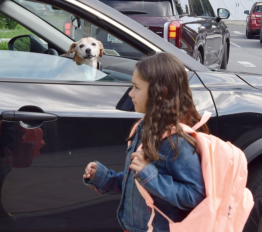 Kiwi the dog watches outside of Ridge Street Elementary School as third-grader Edie Georges heads home after a day of classes.