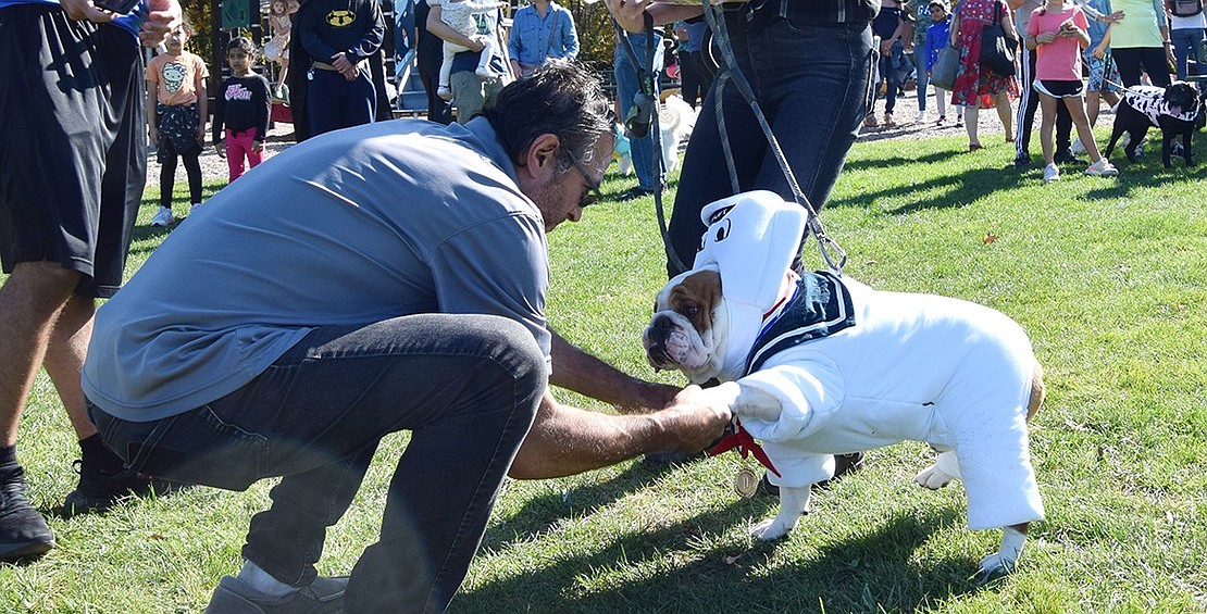 The winner of the Howl-O-Ween costume contest shakes hands with Rye Brook Trustee Sal Morlino, who served as one of the judges, on Saturday, Oct. 28 at Pine Ridge Park. The Proto family of Rye Brook dressed their dog Louie, an English Bulldog, as the Stay Puft Marshmallow Man from the Ghostbusters films.