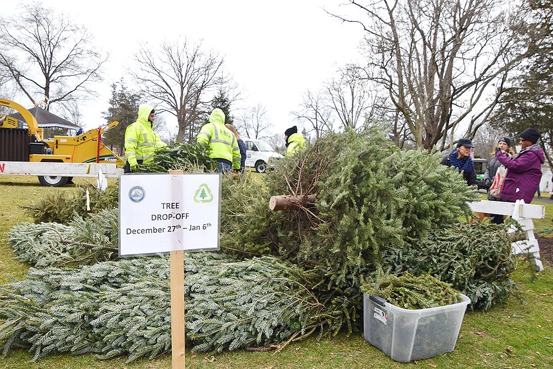 A pile of firs sits in Lyon Park, waiting for the woodchipper. Residents who missed the event and are still looking to dispose of their trees can put them out at the curb in front of their house; the Department of Public Works will collect them through the end of January.