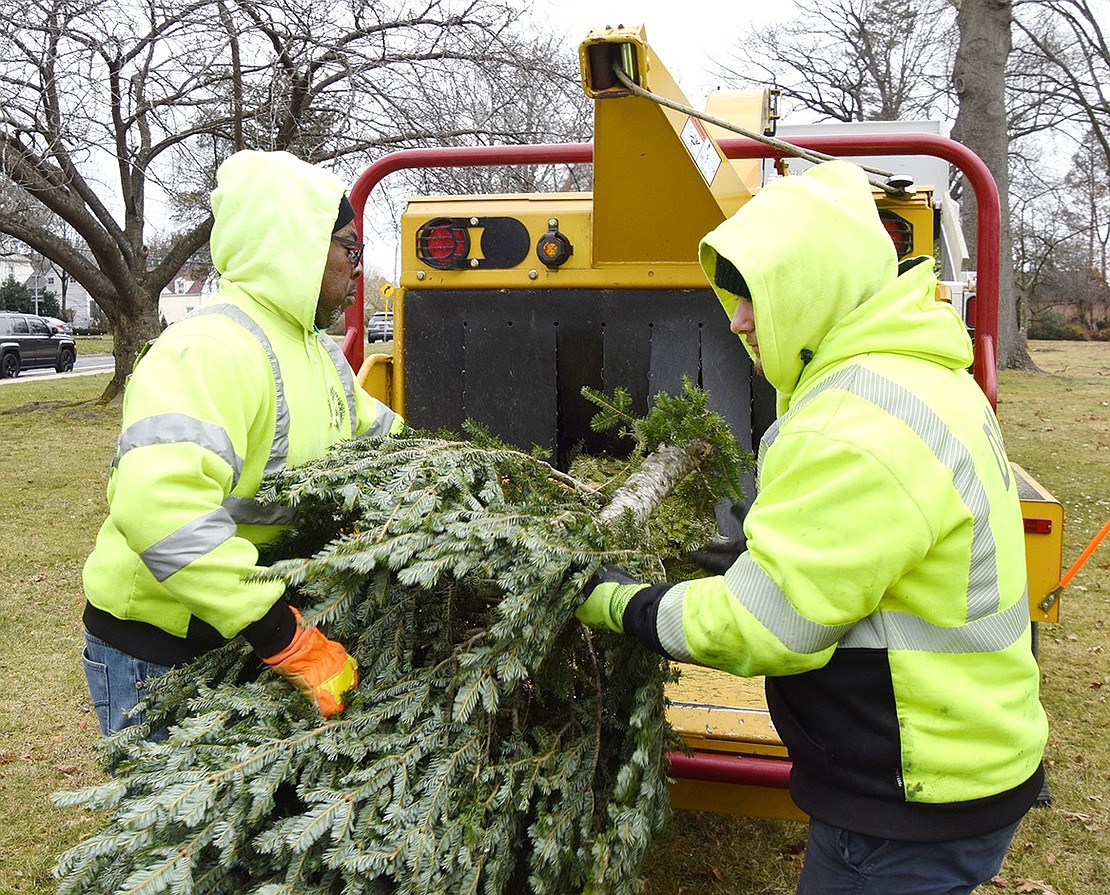 Department of Public Works Weekend Supervisor Mckinley Redd (left) and worker Anthony Ciuro put an evergreen into the waiting mouth of the woodchipper.