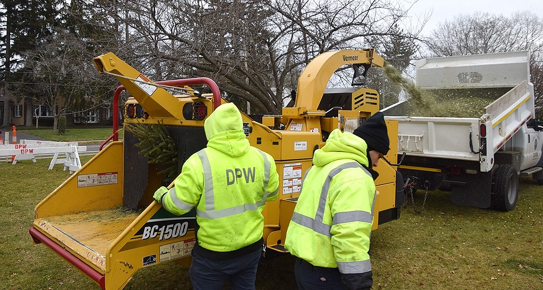 A crew of Port Chester Department of Public Works employees inserts a tree into a woodchipper, which cuts it up in seconds and only leaves behind small wood scraps and the smell of pine on Saturday, Jan. 6. The Village of Port Chester and its Sustainability Committee held a Christmas Tree Chipping event in Lyon Park, where residents disposed of their evergreens in exchange for a take-home bucket of mulch.