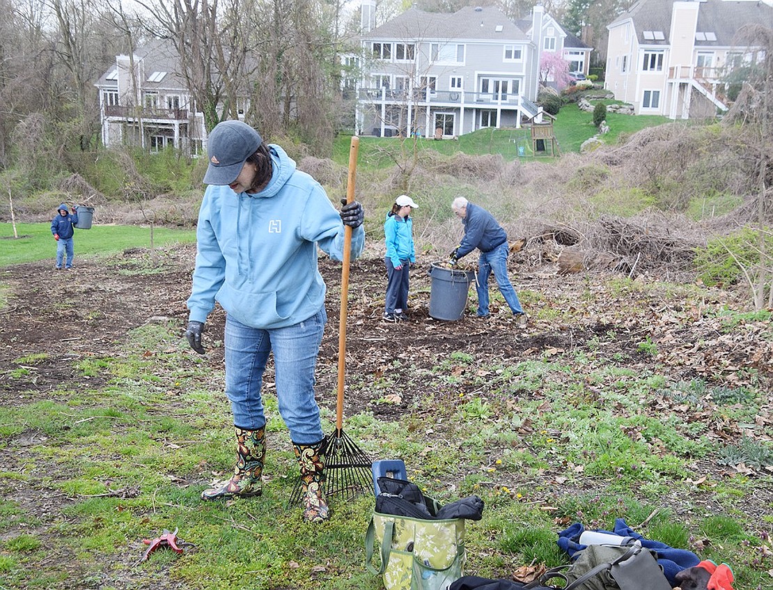 Alison Lazarus of Hidden Falls, a member of the Friends of Crawford Park, stands in the foreground with a rake while Rye Town Prosecutor Brandy Beltas of Rye Brook, Supervisor Gary Zuckerman and others work in the background to clear bramble and weeds from an area at the entrance to Crawford Park on North Ridge Street. It will become a tiny forest that will be dedicated to sustainability advocates Ashley Welde and Anthony Baxter on Arbor Day, Apr. 26.