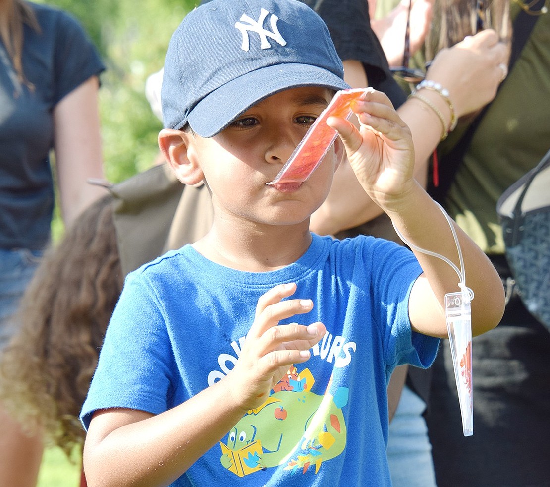 Soon to be kindergartner Niam Nayi almost goes cross-eyed as he fixates on his freeze pop. On such a hot day, he’s sure to enjoy every last drop.