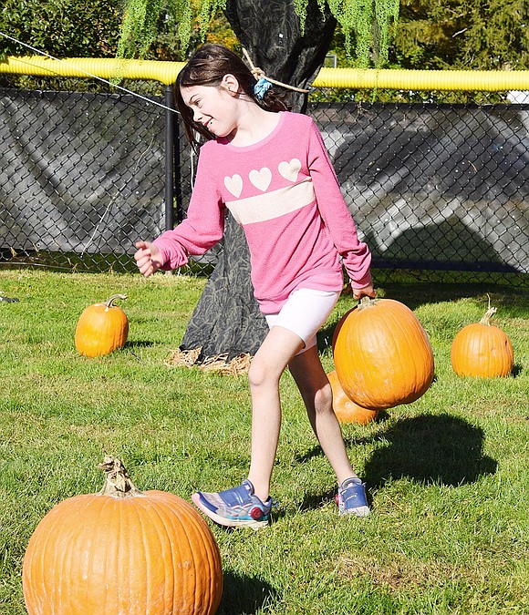 Showing great strength, Ridge Street Elementary School fourth-grader Taylor Cirillo walks her pumpkin of choice back to her family at the Village of Rye Brook’s Pumpkin Patch at Pine Ridge Park on Saturday, Oct. 19.