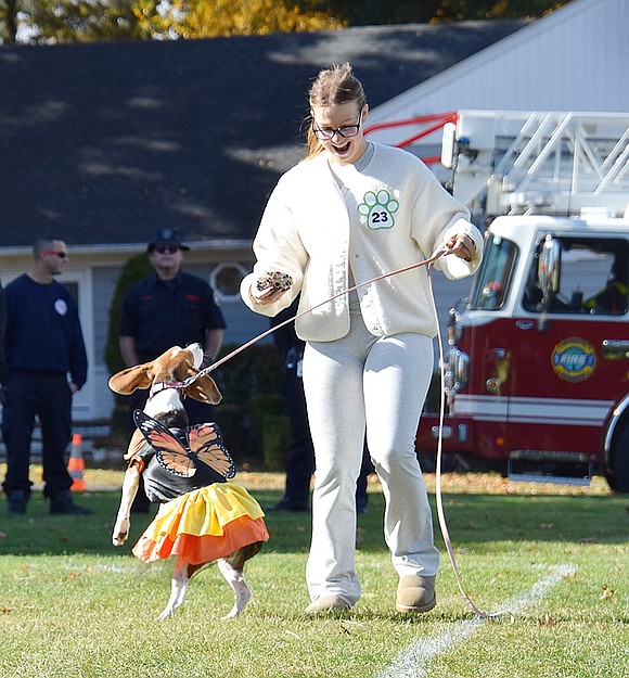 Giving her butterfly wings a try, Sadie the 2-year-old beagle jumps while her owner Julia Short, a 23-year-old Rye Brook resident, walks her through the Howl-o-ween costume contest course at Pine Ridge Park on Saturday, Oct. 26. Co-hosted by the Village of Rye Brook and the Humane Society of Westchester, the annual event brought out dozens of dogs dressed for the spooky season.