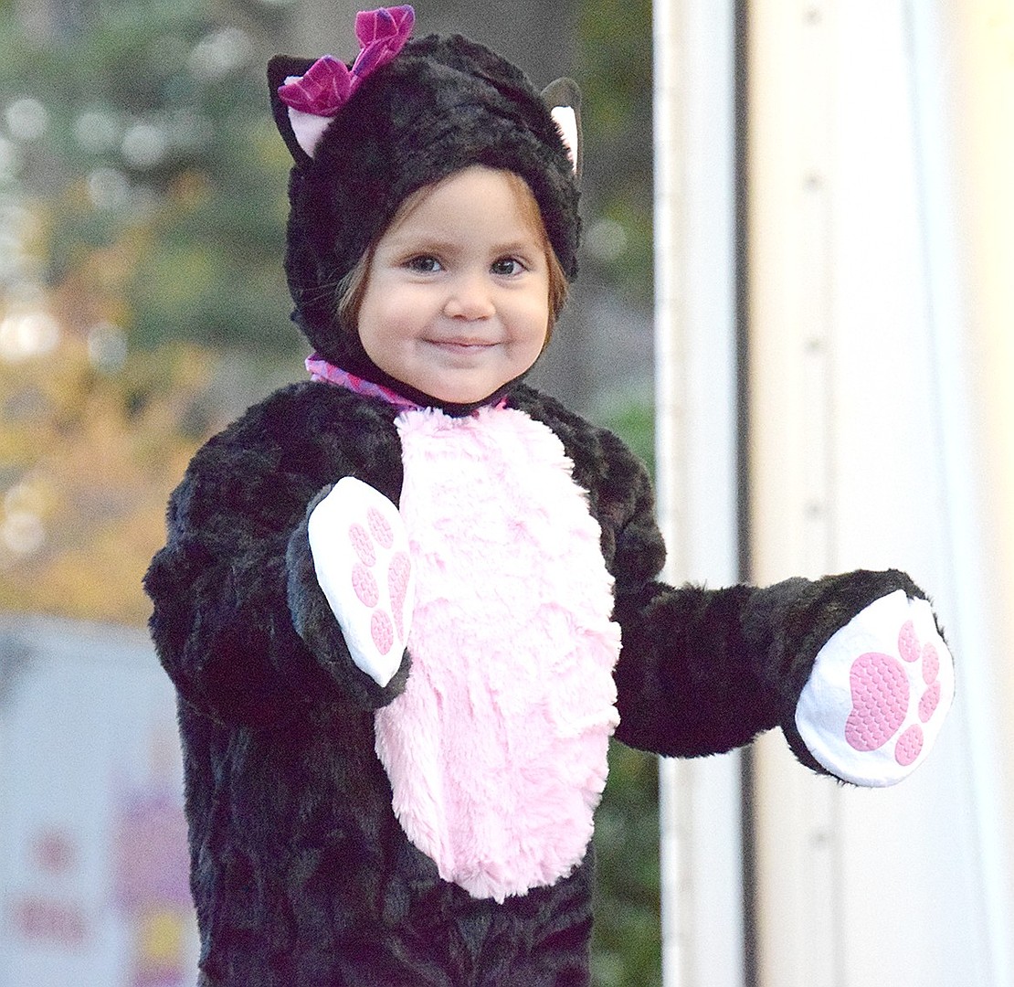 For Halloween, 2-year-old Grace Church Street resident Brianna Lopez Vargas shows just how cuddly kittens can be.