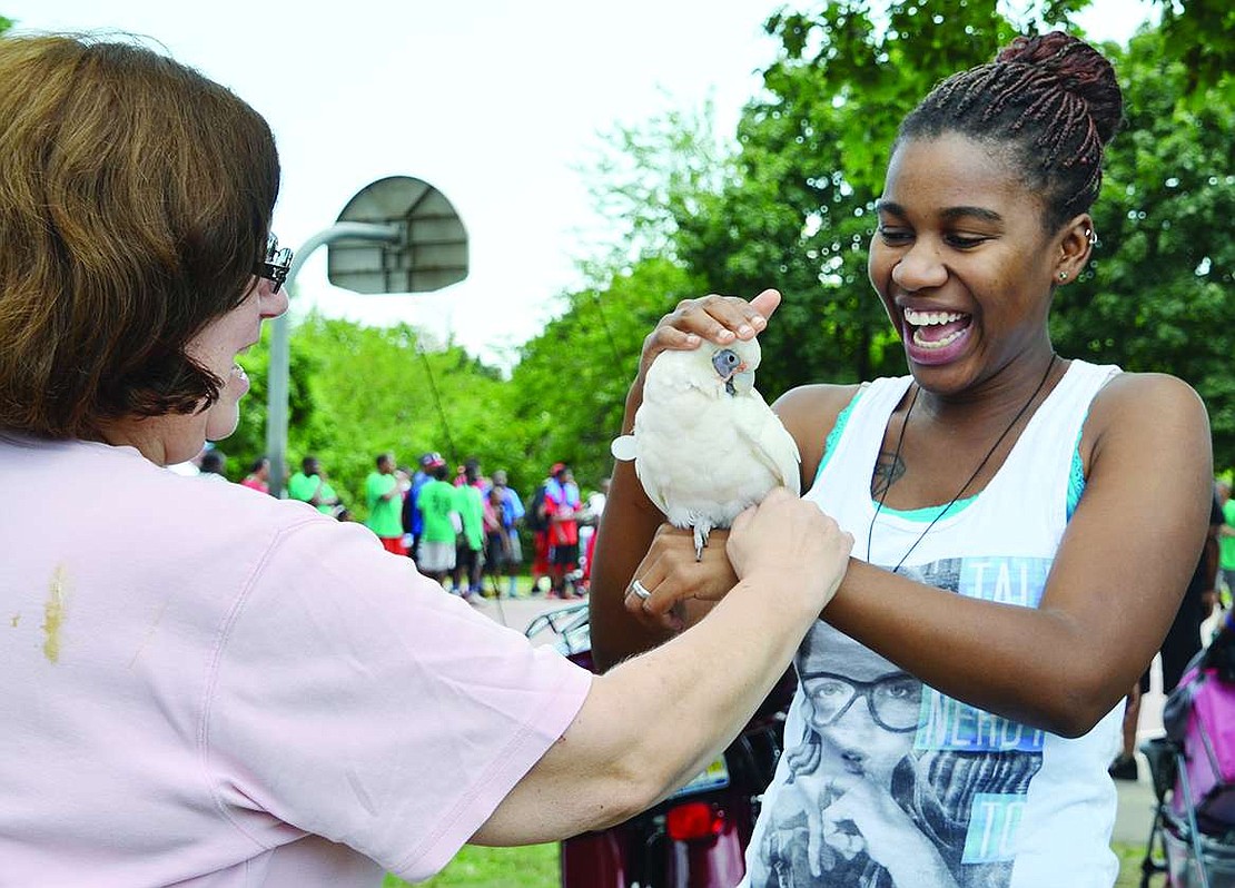  Evelyn Malveau, a 20-year-old from North Carolina whose mother's fianc&#233; grew up in Port Chester, pets Charlie, a Bare Eyed cockatoo, that belongs to Eve Deitz of South Regent Street. Eve and her husband George also brought their Goffin's cockatoo, Elliot, to Unity Day at Columbus Park on Saturday, Aug. 9.