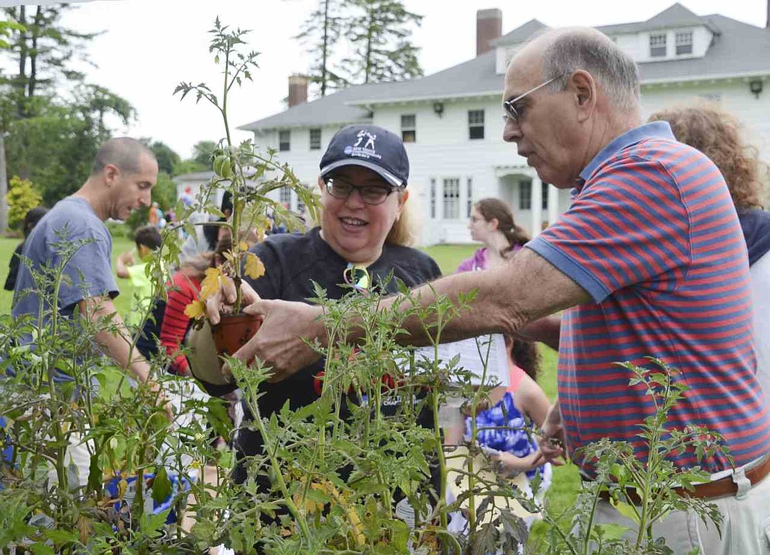 Carol Halpern of Rock Ridge Drive accepts a tomato plant from David Bacchioni of Windingwood Road North. Bacchioni was one of several members of the Sustainability Committee present at Crawford Park to educate the public on recycling and pass out plants. Rain may have ruined the fun and brought the 33rd Rye Brook Birthday Party to an early end on Saturday afternoon, June 20, but residents still got to eat cake, play games and listen to music first. 
