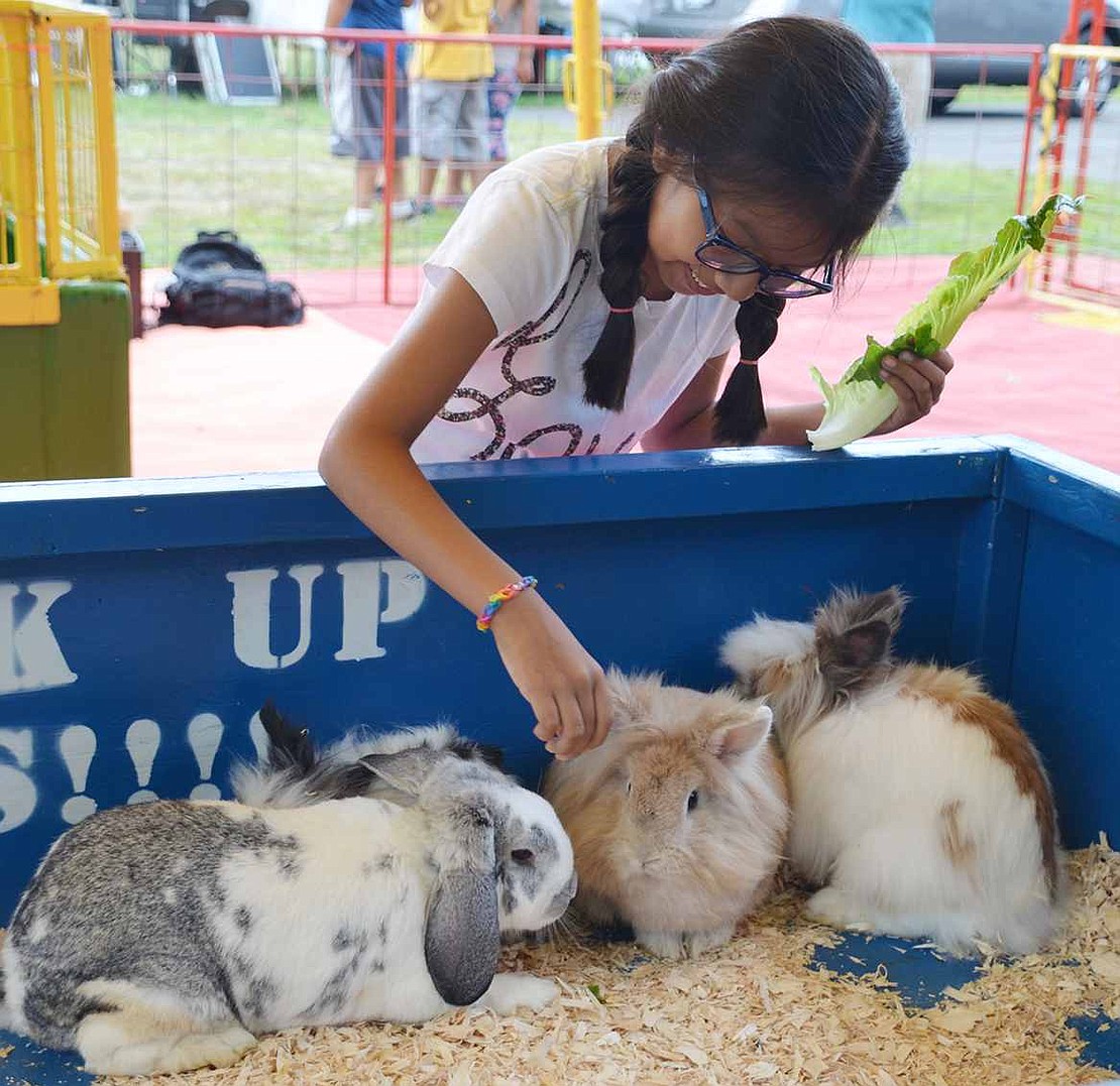 Carol Conde of Port Chester feeds the bunnies in the petting zoo at the newly christened Corpus Christi-Holy Rosary Carnival-to go along with the recently merged parish-on Monday, Aug. 10  