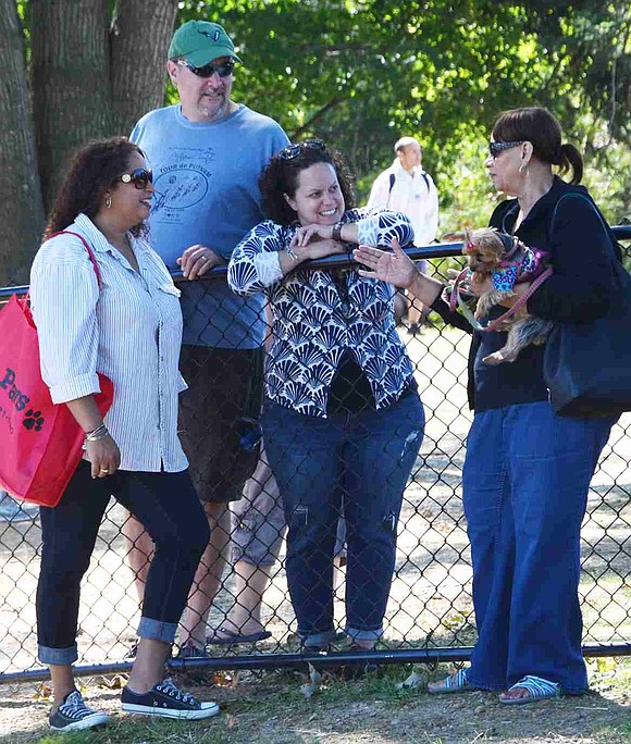 Leaning over the fence separating the large dogs and smaller dogs, Ingrid Gomez, Steve Simmons, Amy Simmons and Millie Cruz-holding her Yorkie named Maddie-chat. 