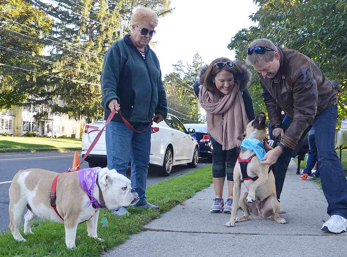 Dakota (left), who belongs to Joyce Rytelewski of Birch Street, and Jasper, whose owners are Elly and Sean McNerney of North Main Street, show off their new bandanas. 