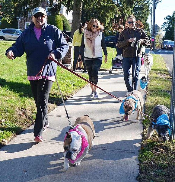 About 10 people-plus their frisky pups-took part in the new one-mile dog walk that preceded the annual 17th annual Port Chester 5K run/walk on Saturday, Oct. 10.