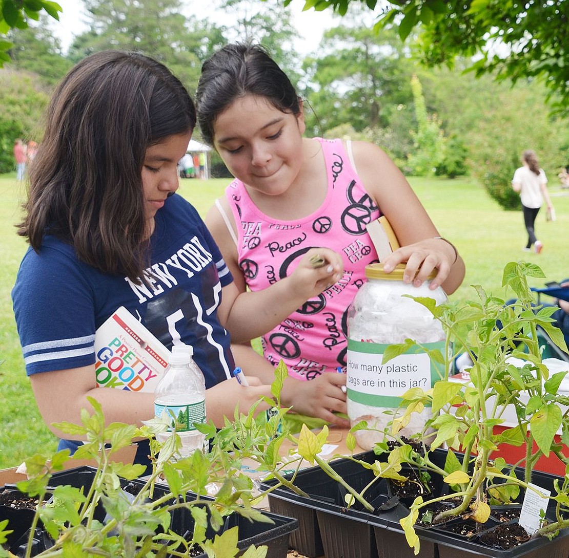 <span style="font-size: 13.3333px;">Port Chester residents Stephanie Zevallos, 10, and Valerie Tintaya, 9, try to guess how many plastic bags are in the jar. The winners went home with a reusable bag courtesy of the Rye Brook Sustainability Committee.</span>