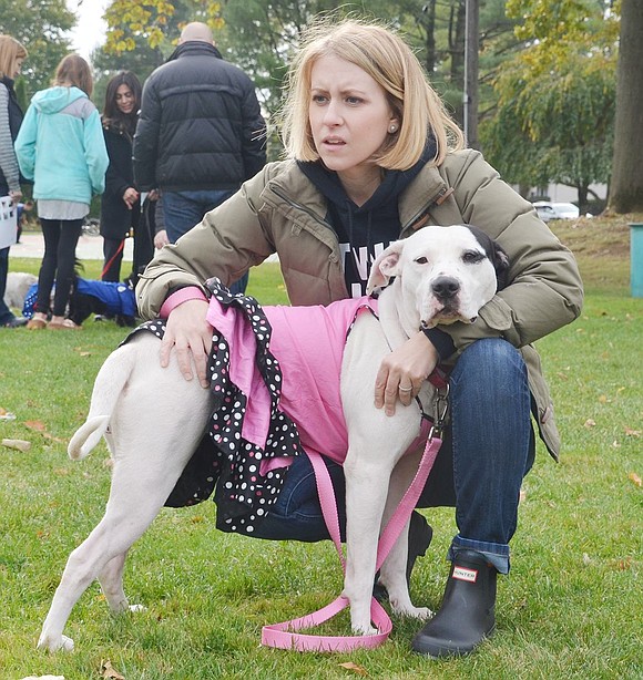 <p class="Picture">Dottie, the 4-year-old pit bull mix is adoptable from the Westchester Humane Society. All dolled up in a pink dress, all Dottie wanted was hugs and kisses from Jennifer Fenty, who works with the humane society.</p>