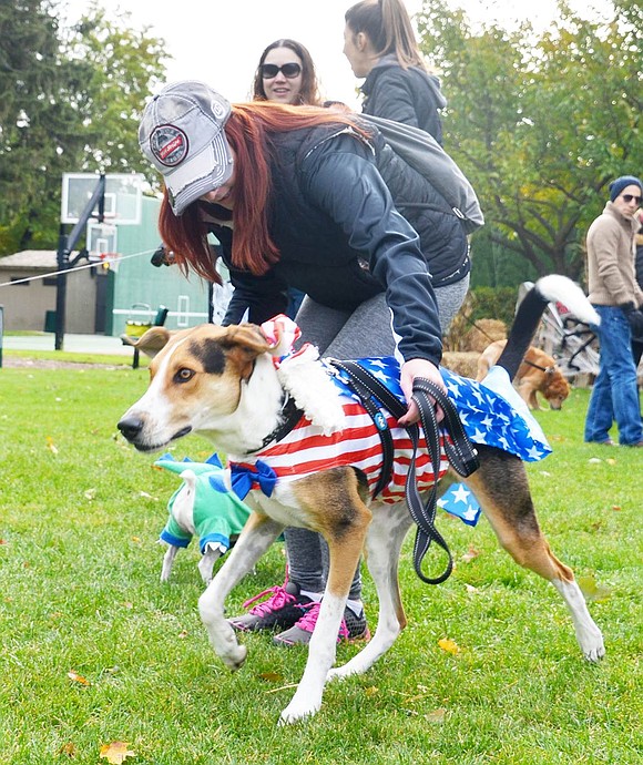 <p class="Picture">Uncle Sam was turned into a dog named Shane! Shane&rsquo;s owner, Brigid McCarney of North Ridge Street, checks on his costume before letting him play with another pup.&nbsp;</p>