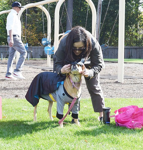 You can’t be Batman without a cowl to hide your identity. Rebecca Kleban of Berkley Drive ensures Keisa’s mask is secured to the top of her head before the pooch goes off to fight crime. 