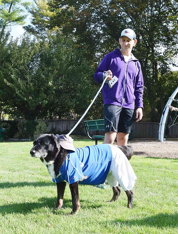 Yankees fan Piper watches all her new furry friends walk around the park while her owner Scott Jaffee of Lincoln Avenue keeps an eye on her. 