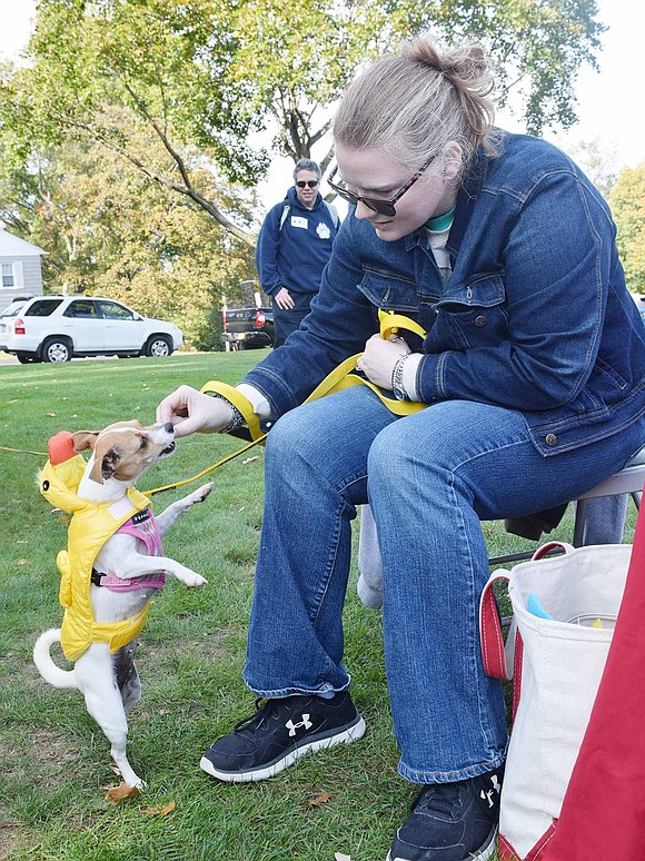 A tiny duck was seen waddling around and begging for treats – Little, an adoptable pup, got a reward for being so good from Humane Society of Westchester volunteer Vanessa Vieux of New Rochelle. 