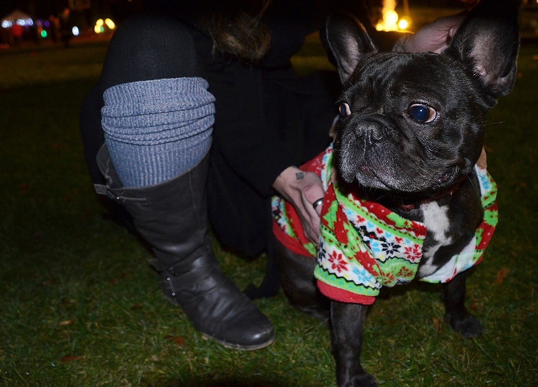 Gus the French Bulldog came dressed for the holidays in his reindeer sweater with his owner, Sophia Lombardi of Mohegan Lane, a fifth-grader at Ridge Street School. 
