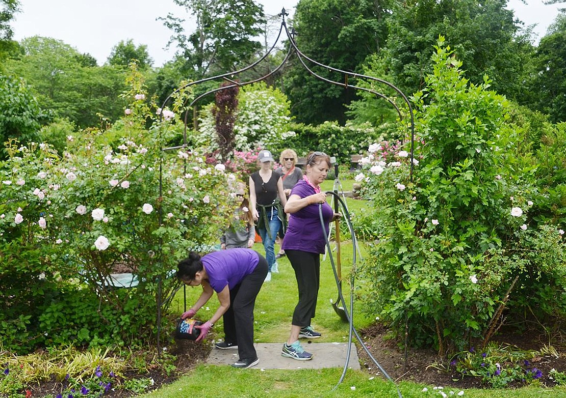 Around 20 people bring their shovels and gardening gloves to volunteer at Crawford Park for Spring Planting Day. Beautifying the sunken garden was supervised by 16-year-old Rye Neck resident Joseph Yang, who crafted the project to earn his Eagle Scout ranking.  