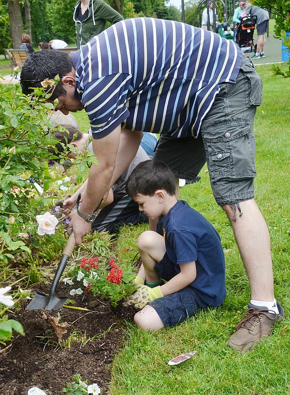 Peter Ayala, a six-year-old, holds the flowers while his father Hugo digs a hole for them in the sunken garden. The Rock Ridge Drive resident father is the Cubmaster of the Rye Brook Cub Scout pack that volunteered for the annual Spring Planting Day on Sunday, June 10, at Crawford Park.  