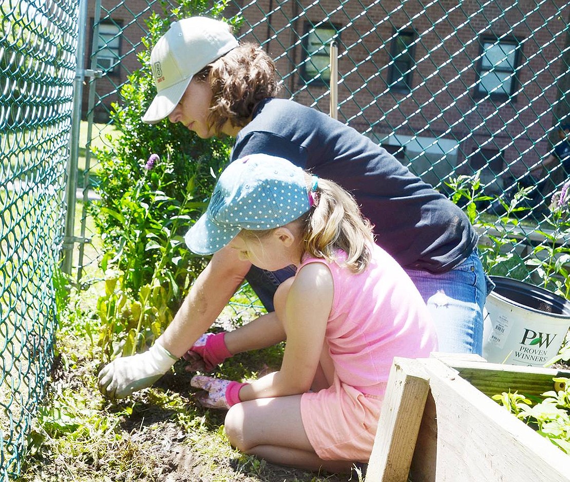 Piper Dant, 6, and her mother Tyra plant flowers together in the Weber Community Garden. Throughout the day, 40 people planted perennials and fruit trees, as well as watered the plants, weeded the garden and cleaned up trash along the streets.