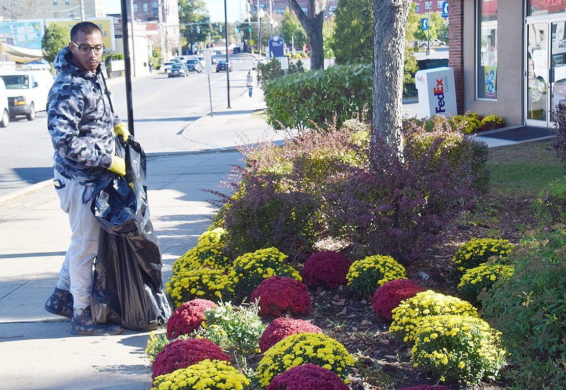 Riverdale Avenue resident Wilson Beltran looks for litter around the perimeter of a flower bed outside the Sunoco gas station on Westchester Avenue. Beltran was one of dozens who volunteered with the Port Chester Beautification Commission to clean up areas around the village on the morning of Saturday, Oct. 5.