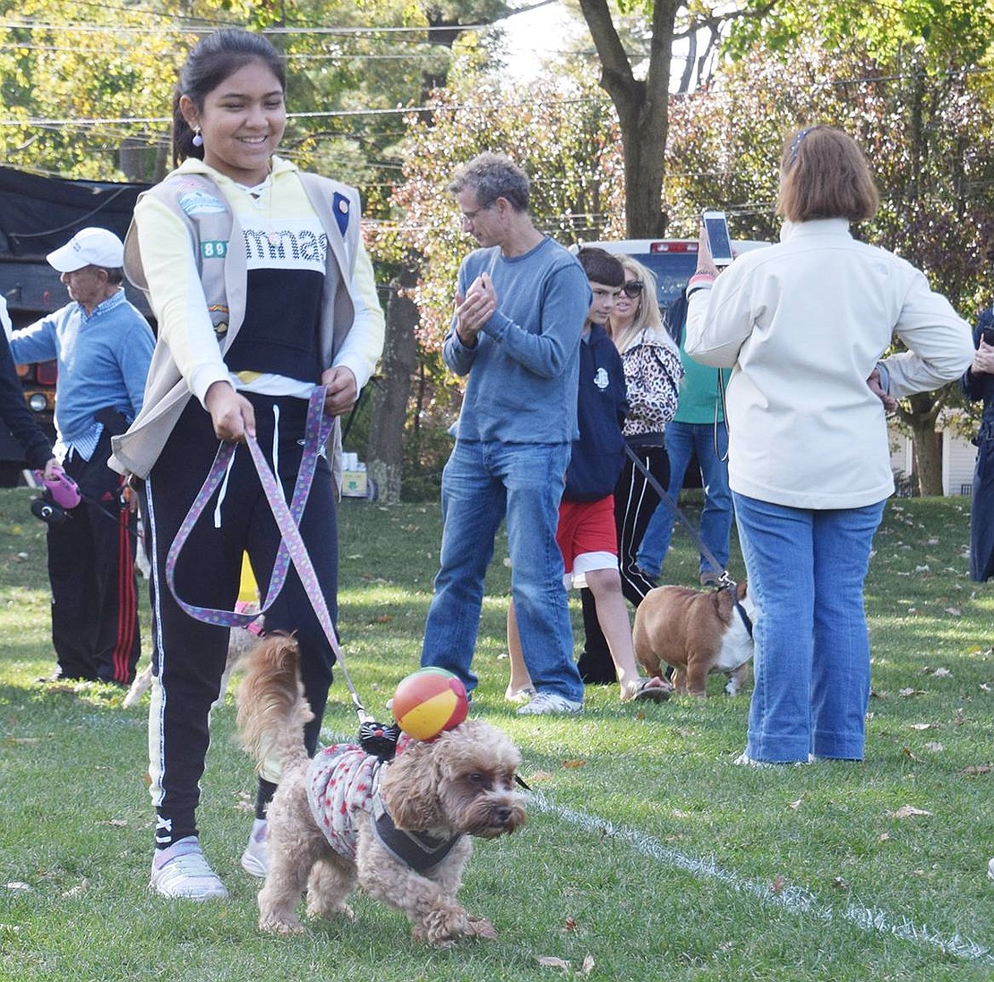 Westchester Avenue resident and Troop 2895 Girl Scout Lyndsay Arroyo, 11, and her dog Mush, who is dressed as a show dog, begin the parade at the third annual Howl-O-Ween in the Park dog costume event at Pine Ridge Park on Saturday, Oct. 26 sponsored by the Village of Rye Brook and the Humane Society of Westchester.