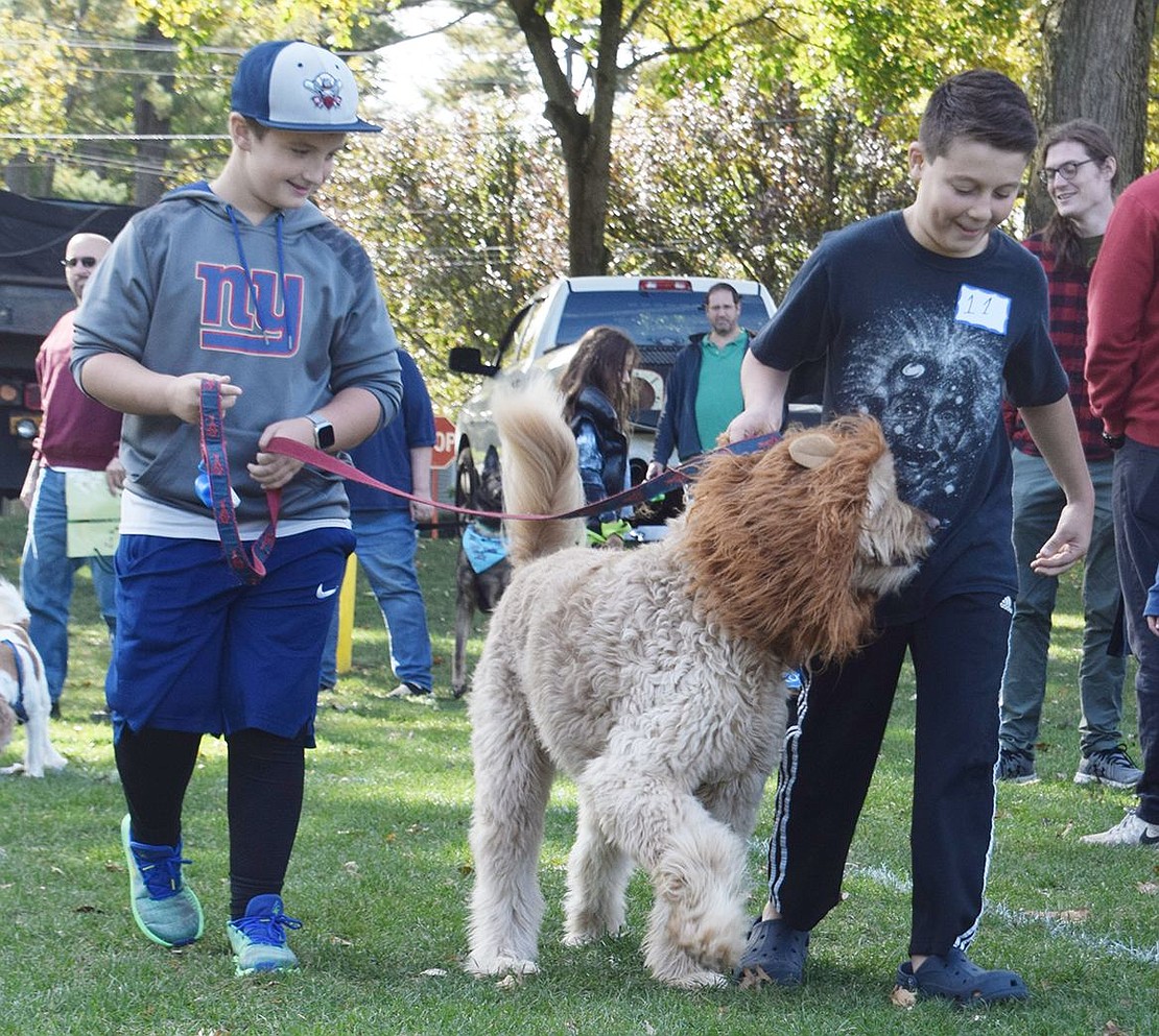 North Windingwood Road resident Tyler DeHardt (left) and Pine Ridge Road resident Devin Goldberg guide the ferocious lion, Sam the large goldendoodle, through the course at Pine Ridge Park.