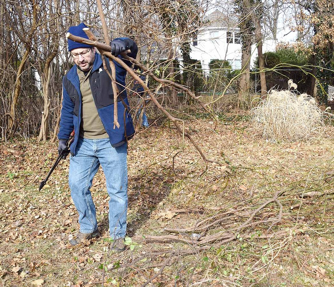 On a warm winter day, Barry Zingman drops freshly cut down invasive vines in Crawford Park onto a pile of others on Sunday, Dec. 8. The Mohegan Lane resident is helping out with a handful of other Town of Rye employees and volunteers during a Clear the Vines volunteer day.