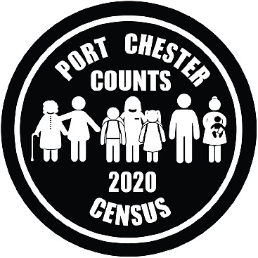 Making Sense of the Census: The 2020 Census during quarantine time 