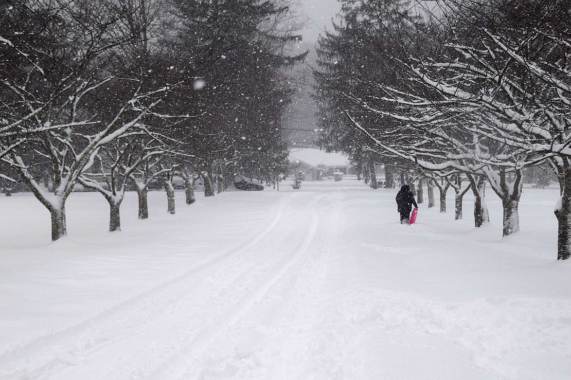 As snow falls around her, a lone woman walks down the picturesque access road at Crawford Park toward Lincoln Avenue following an afternoon of sliding during the Monday, Feb. 1 blizzard which dropped about a foot of snow before ending that night.