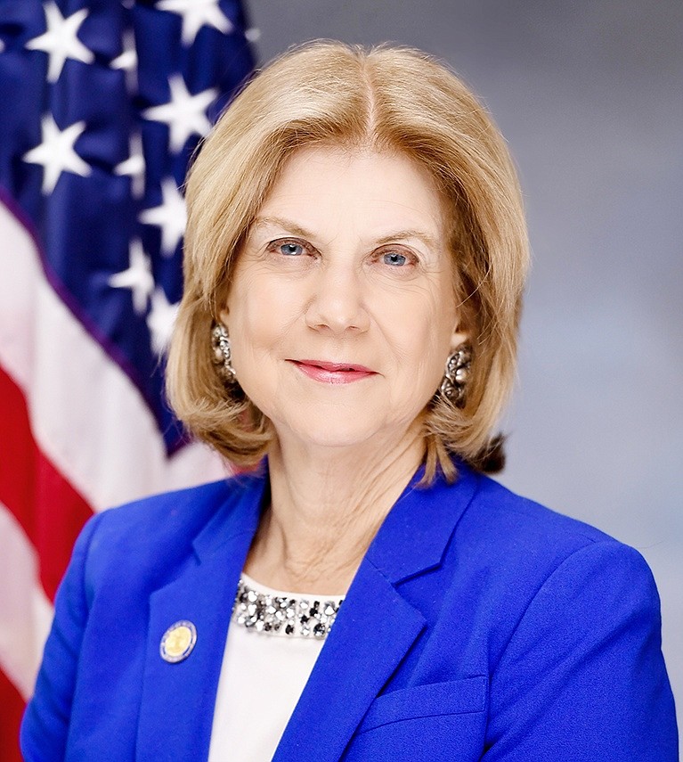 Dick Hubert’s Worldview: Report card on Senator Shelley Mayer’s campaign to reform and update New York State voting laws 