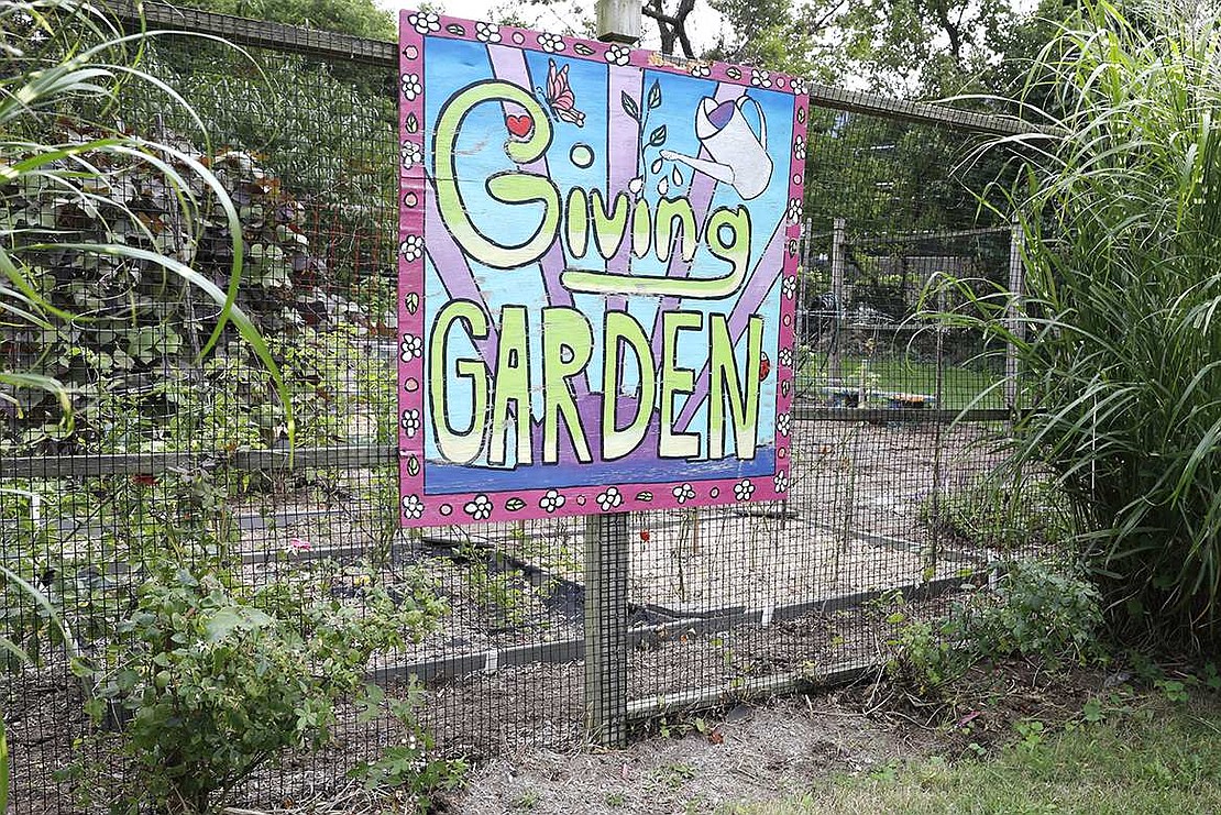 The Giving Garden is located on a hill adjacent to the Port Chester Middle School.