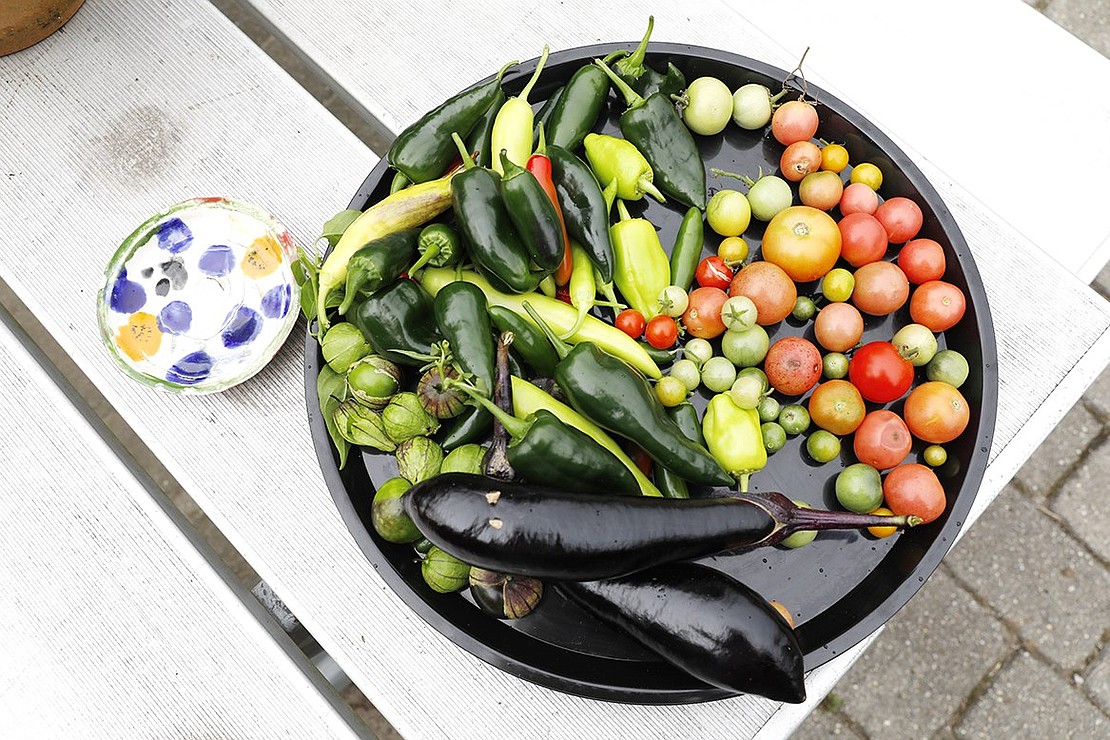 Fruits and vegetables harvested from the garden sit on a tray, ready for students to take home.