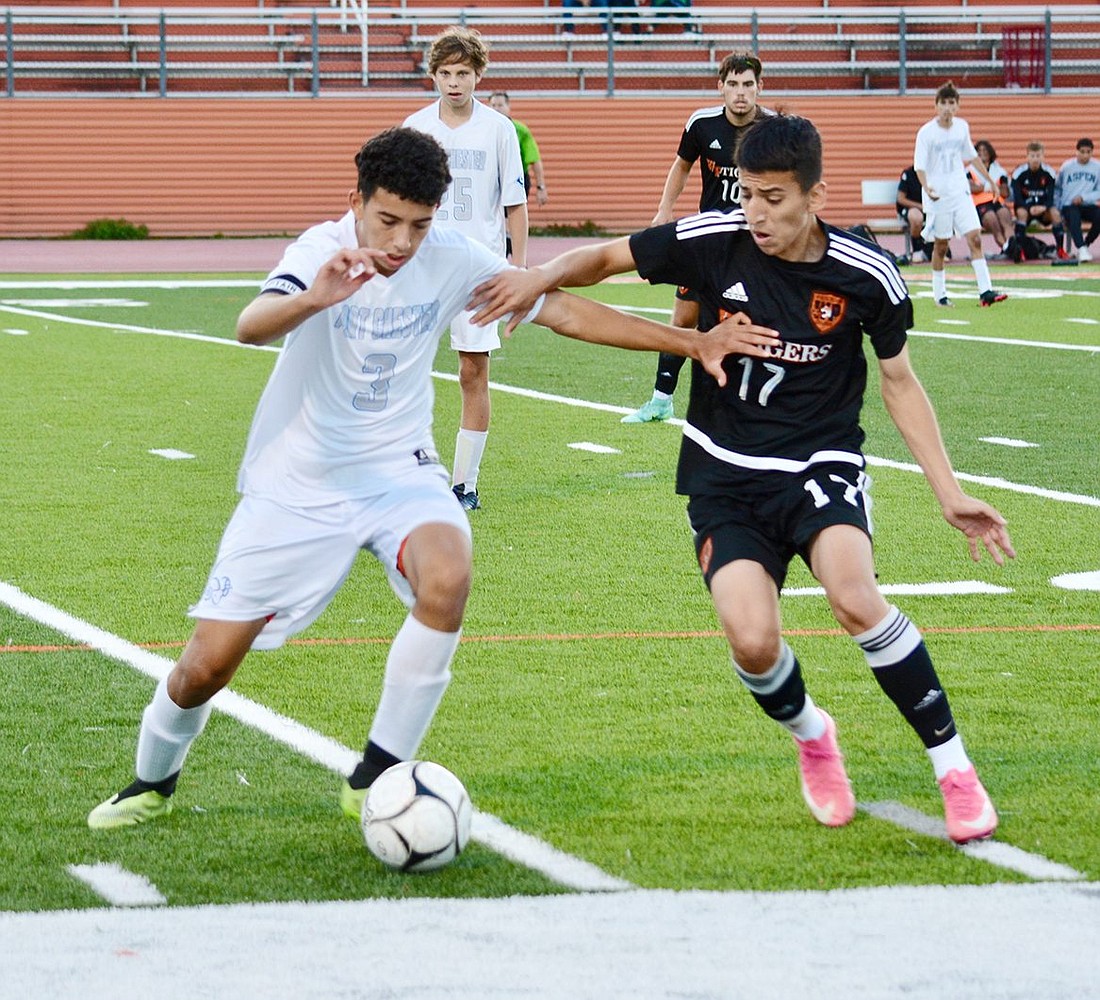 Rams share league title with White Plains in soccer 