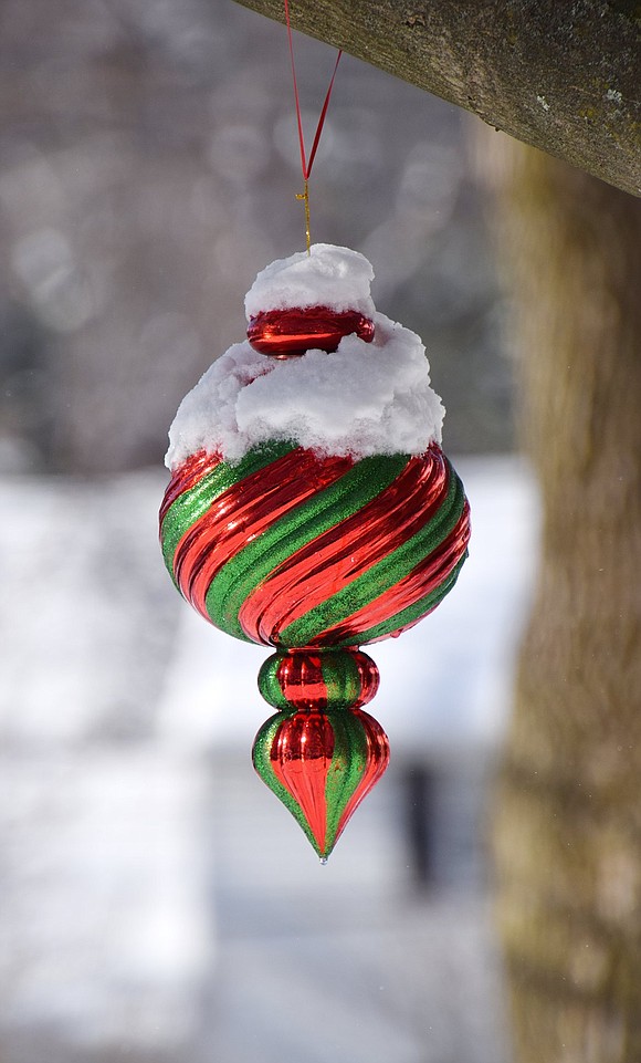 A snow-covered ornament hangs from a tree at the corner of Windsor Road and Ridge Boulevard.