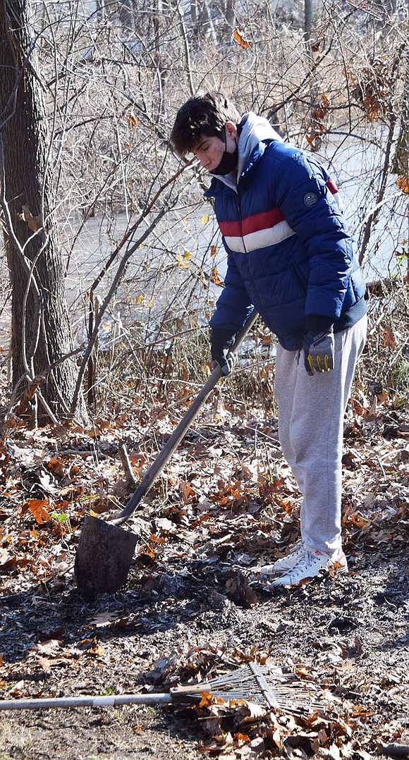 Will Jaffee, a sophomore at Blind Brook High School, digs up a root along the pathway to the cemetery.