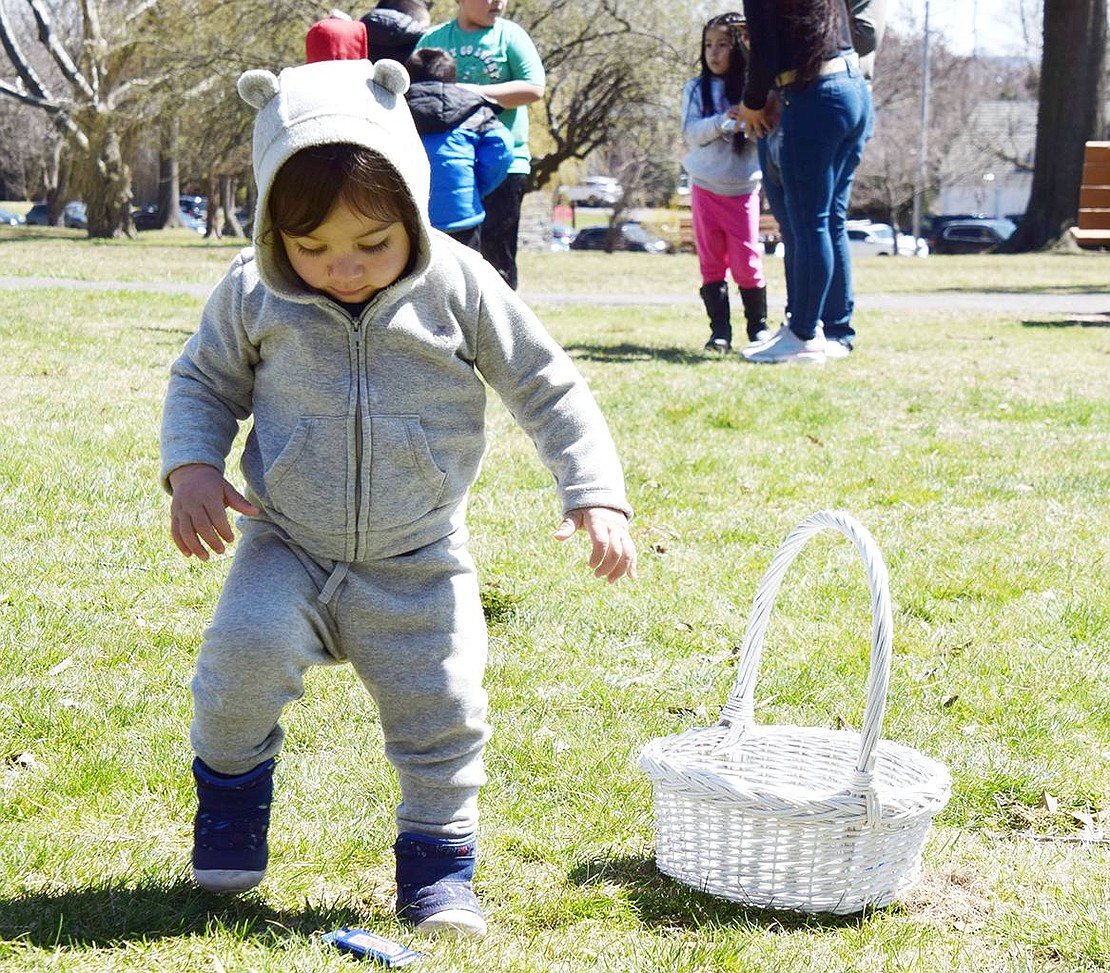 Essentially preparing his whole life for this moment, 15-month-old Rye Brook resident Henry Salov shows off his well-practiced skill of finding candy and putting it in his Easter basket.