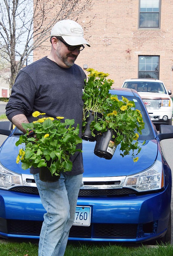 Michael Christopher, husband of Arianna Christopher, co-chair of the Port Chester Beautification Commission, carries leopard’s bane plants to go in the beds along the Byram River walkway.