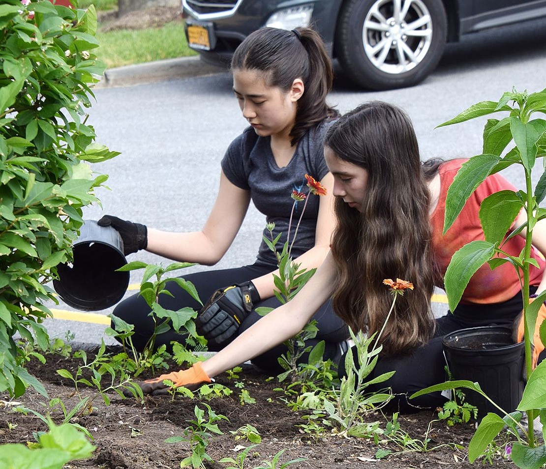 Jinju Prince and Emily Davis, both sophomores on the board of the Blind Brook High School Roots and Shoots Club, spread mulch around the new plantings in the butterfly garden.