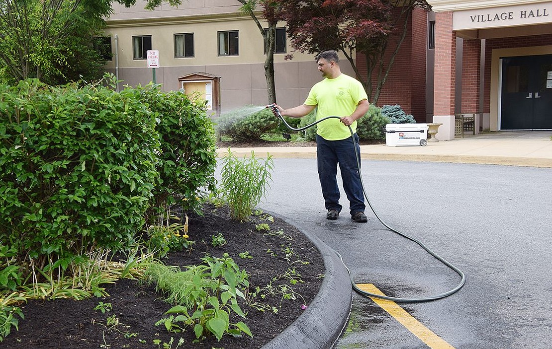 Rye Brook Department of Public Works employee Peter DeVito thoroughly soaks the garden to provide the sustenance the new plantings need to grow.