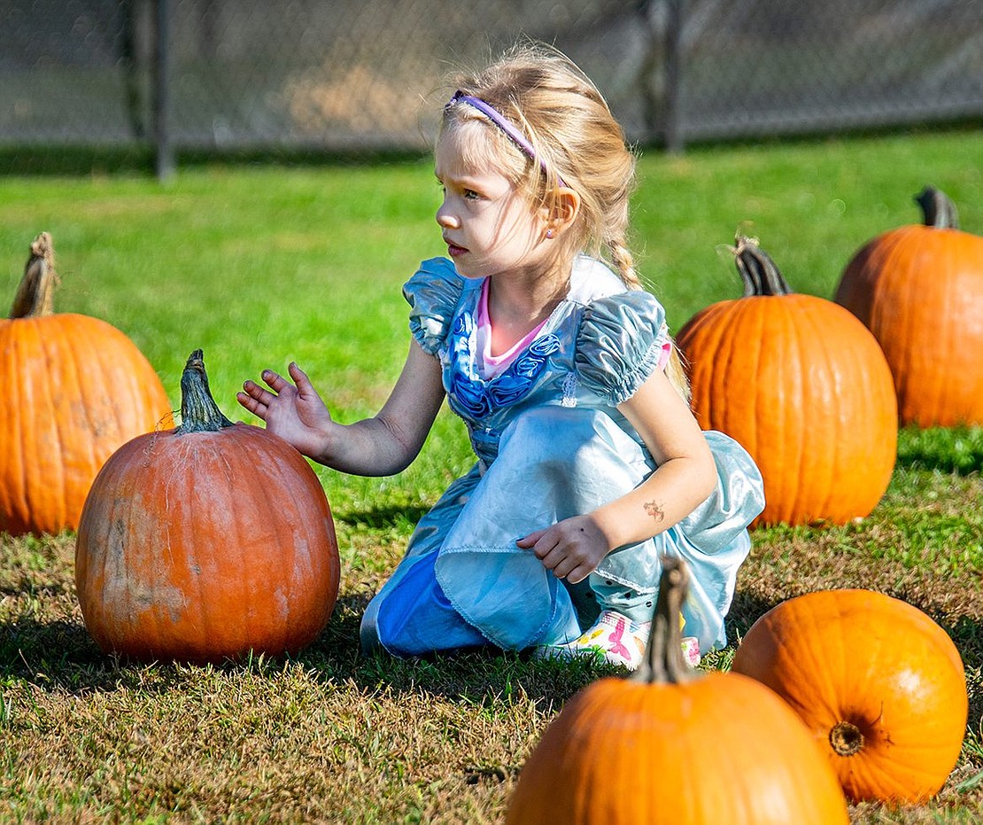 Brielle Reganstreich, 4, channels her inner Cinderella at the Village of Rye Brook’s first Pumpkin Patch event at Pine Ridge Park on Saturday, Oct. 15. Sadly, however, the Carlton Lane resident’s gourd didn’t turn into a carriage to take her to the ball.