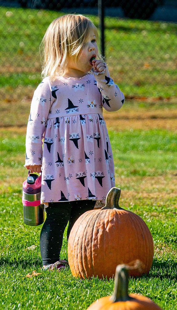 Two-year-old Monroe Sprague loves walking around the pumpkin patch, but the North Ridge Street resident isn’t quite sure what the large gourds are for.