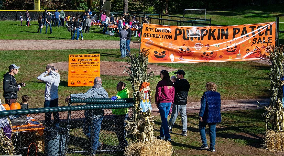 Community members flock to one of the baseball fields at Pine Ridge Park to pick out a suitable gourd for the season.