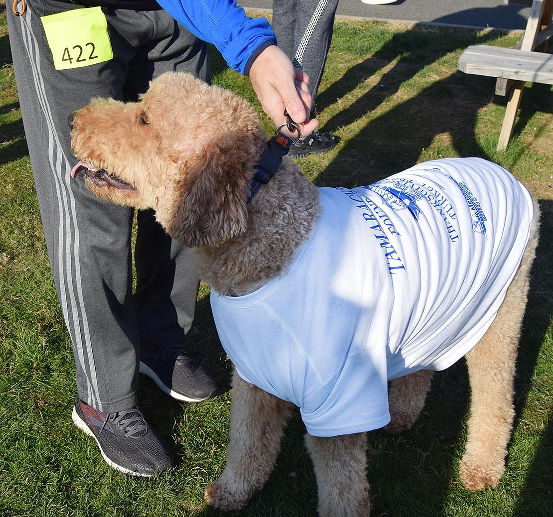 Blake and Kasey Kerrick’s golden doodle Toby of Valley Terrace happily wears a Tamarack Tower Foundation T-shirt, just like other runners.