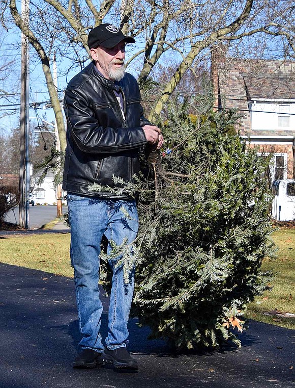 May Place resident John Peterson drags his live Christmas tree along a path in Lyon Park to the tree chipper the Port Chester Department of Public Works brought for the event.