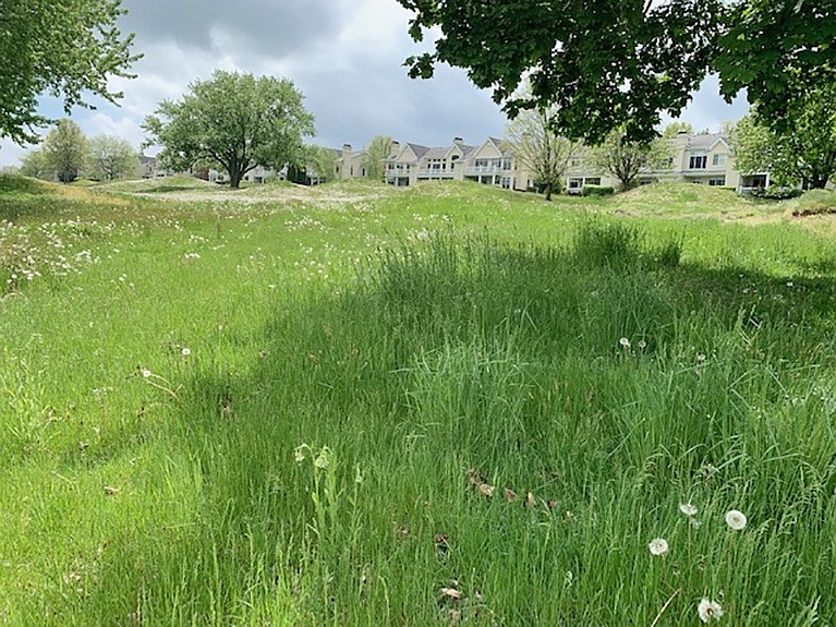 Grass height gets its moment in the sun at R.B. Board meeting  